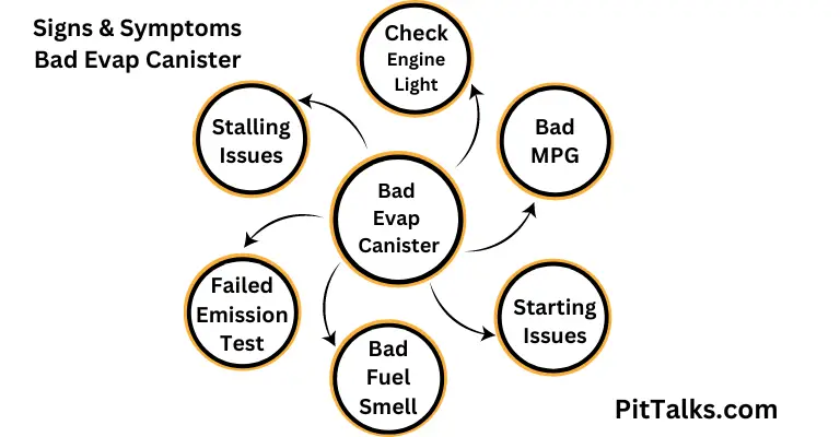 Bad evap canister symptoms infographic