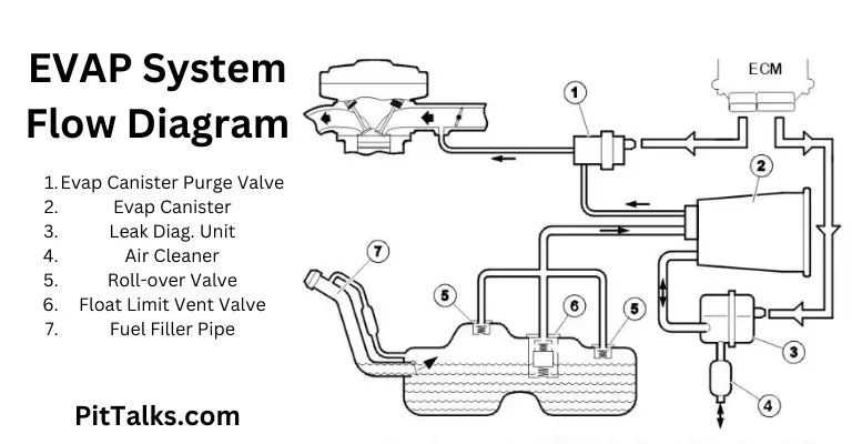 Evap System and Canister Diagram Flow Chart