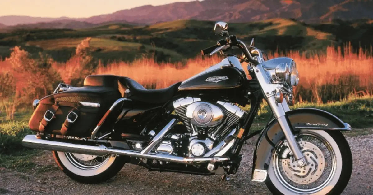 A Harley Road King with a Twin Cam 88a engine against a wooded wilderness background